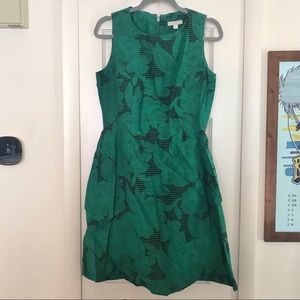 NY&C Eva Mendes Green Floral dress, size 6